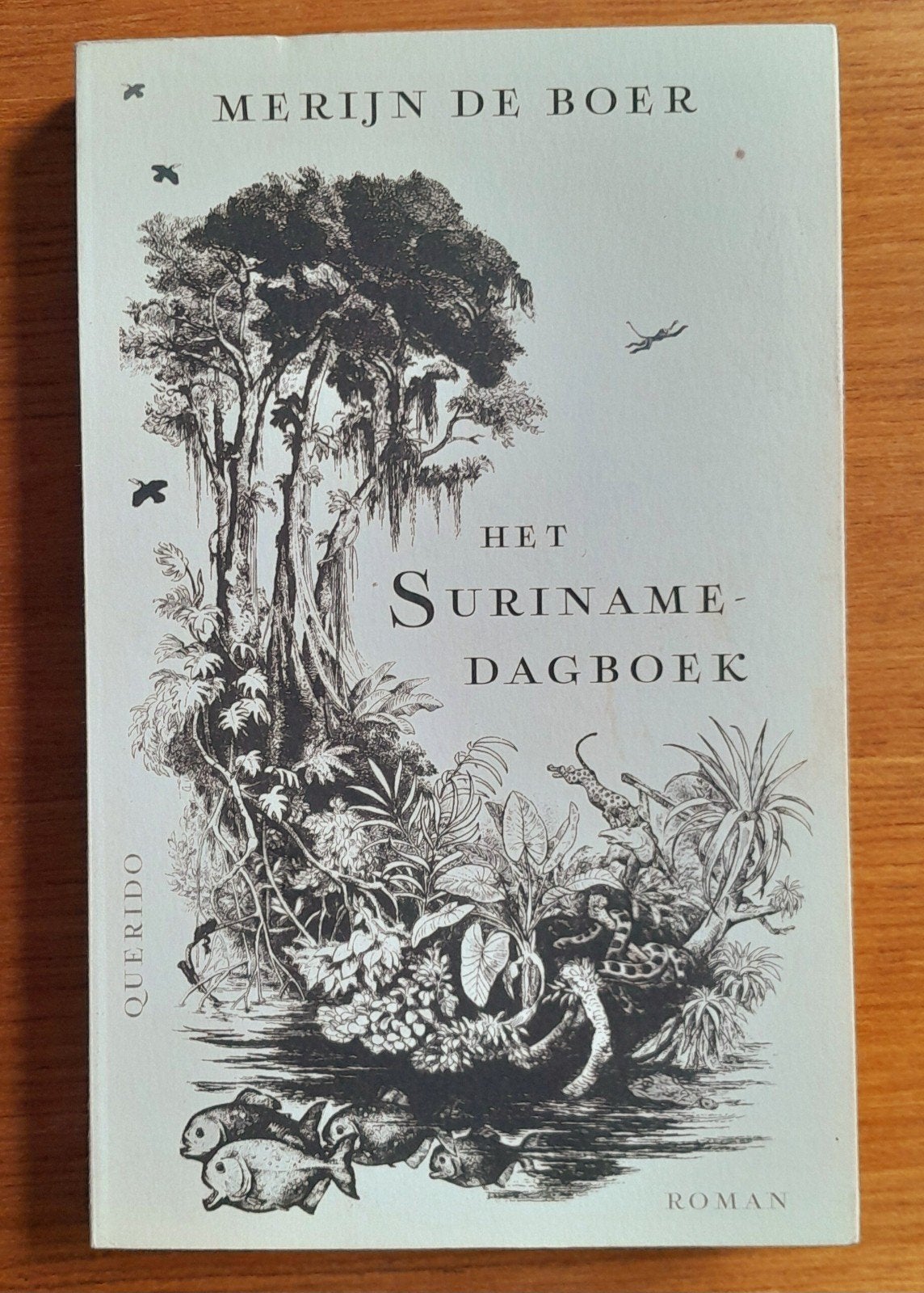 Het Suriname-dagboek - Merijn de Boer, Ophalen of Verzenden, Nieuw, Merijn de Boer, Nederland