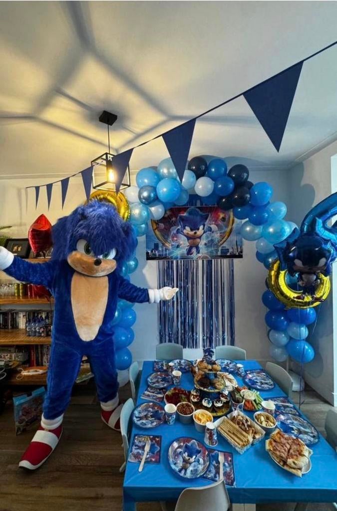 SONIC mascotte te boek‼️, Ophalen, Zo goed als nieuw