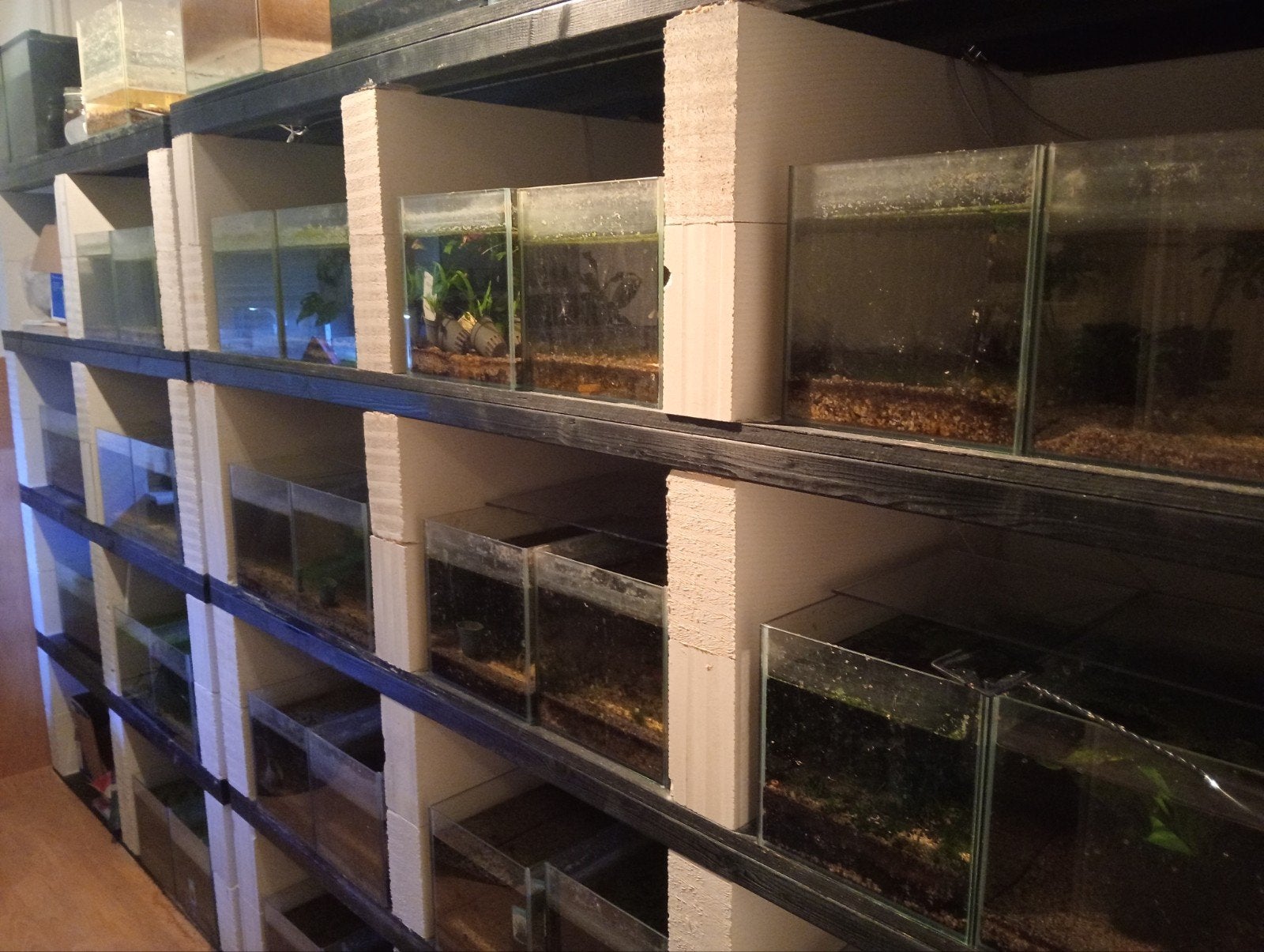 40 Aquariums te koop, Ophalen of Verzenden, Leeg aquarium