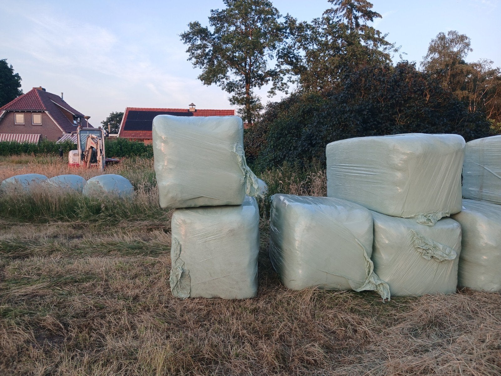 Grote hooibalen te koop, Ophalen of Verzenden