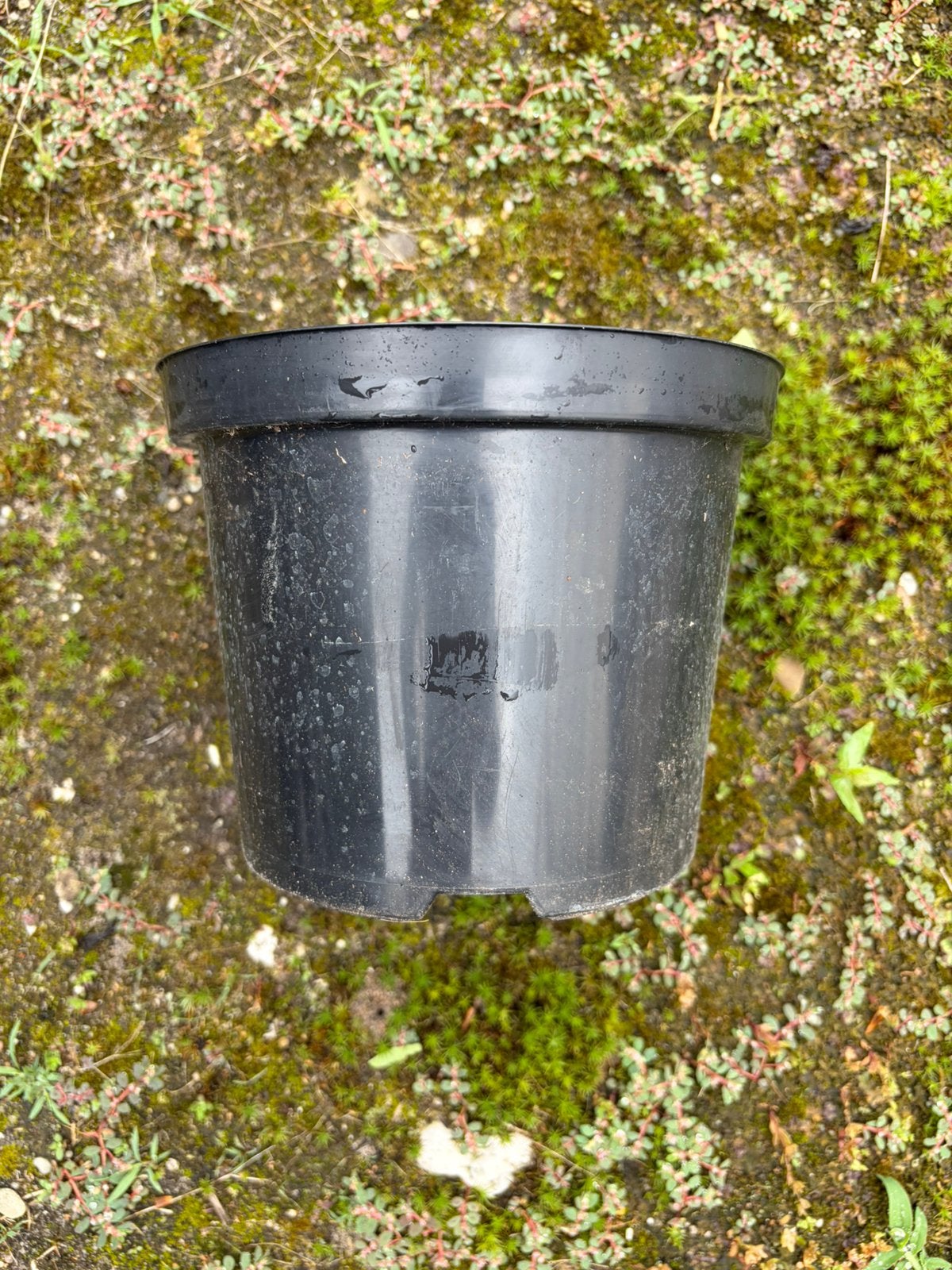 Kweekpotjes partij 17 cm, Tuin en Terras, Bloempotten, Ophalen, Kunststof, Rond, Zo goed als nieuw