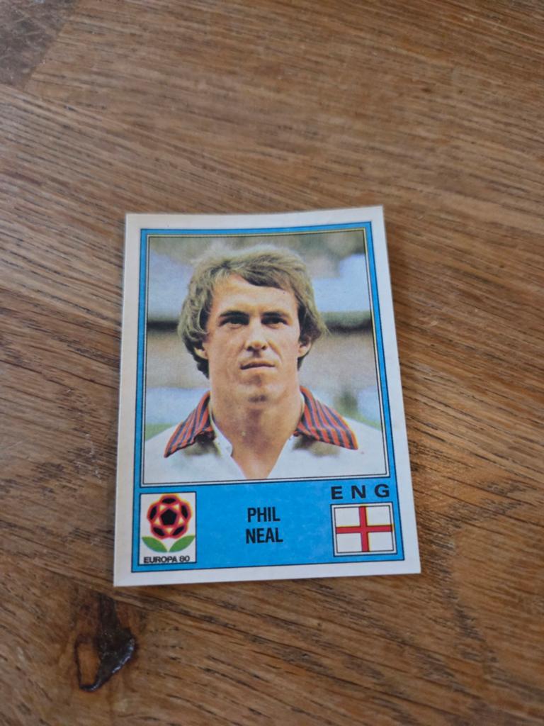 Panini EK 80, Ophalen of Verzenden, Zo goed als nieuw, Sticker