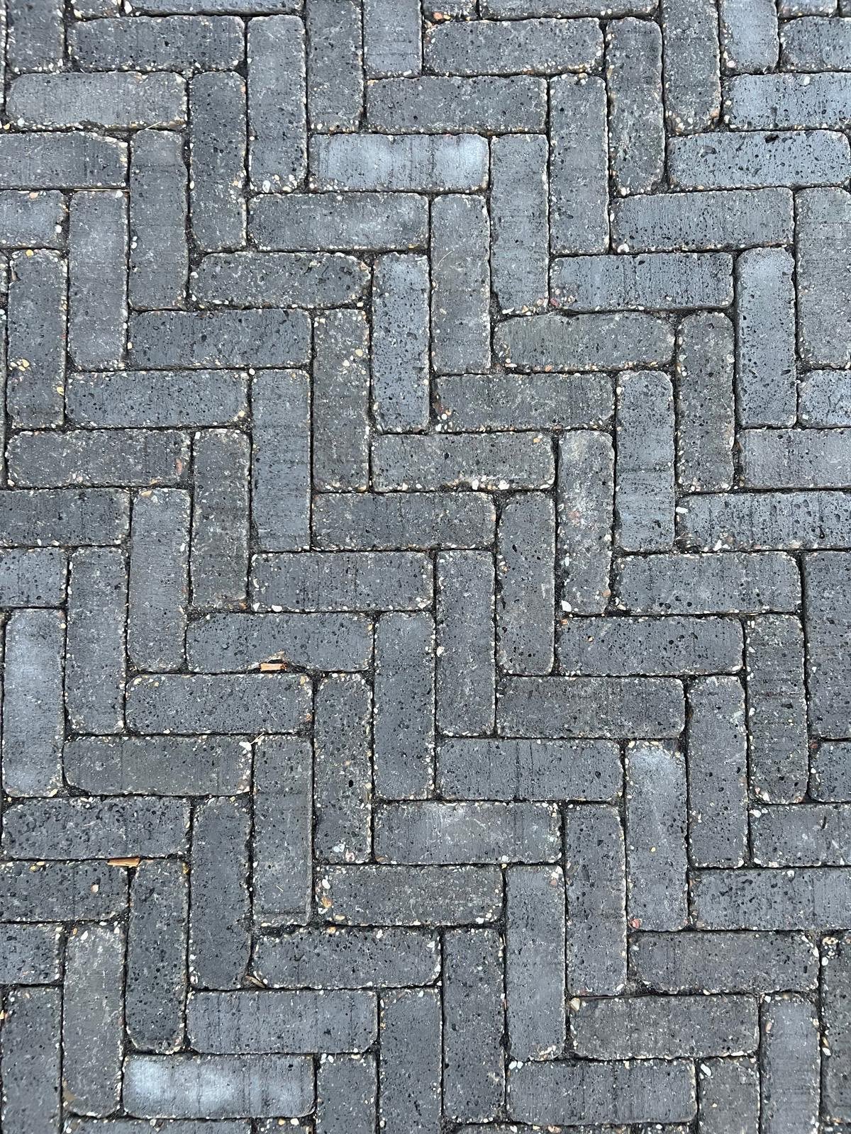 Schellevis kleinplaveisel gratis afhalen, Ophalen, Beton, Terrastegels