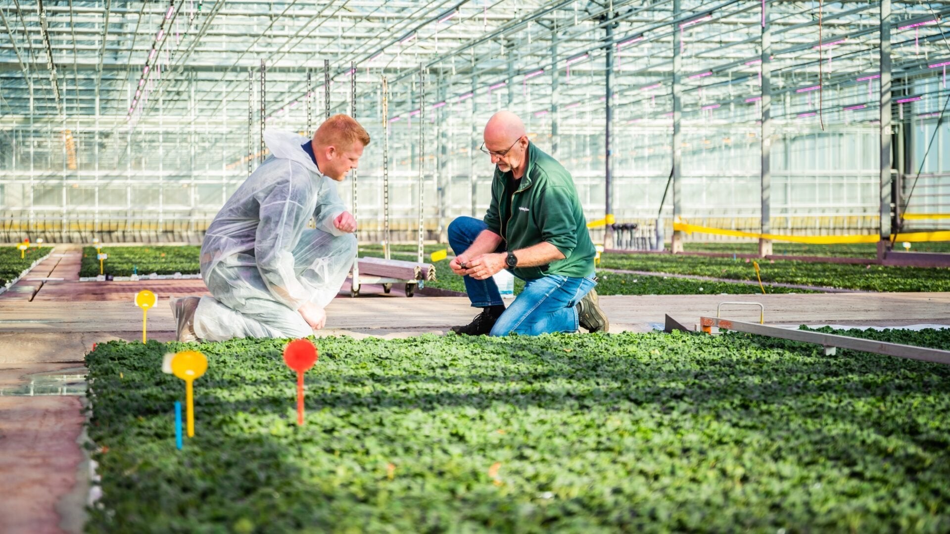 Machine Operator, Vacatures, 33 - 40 uur, Overige niveaus, Tijdelijk contract