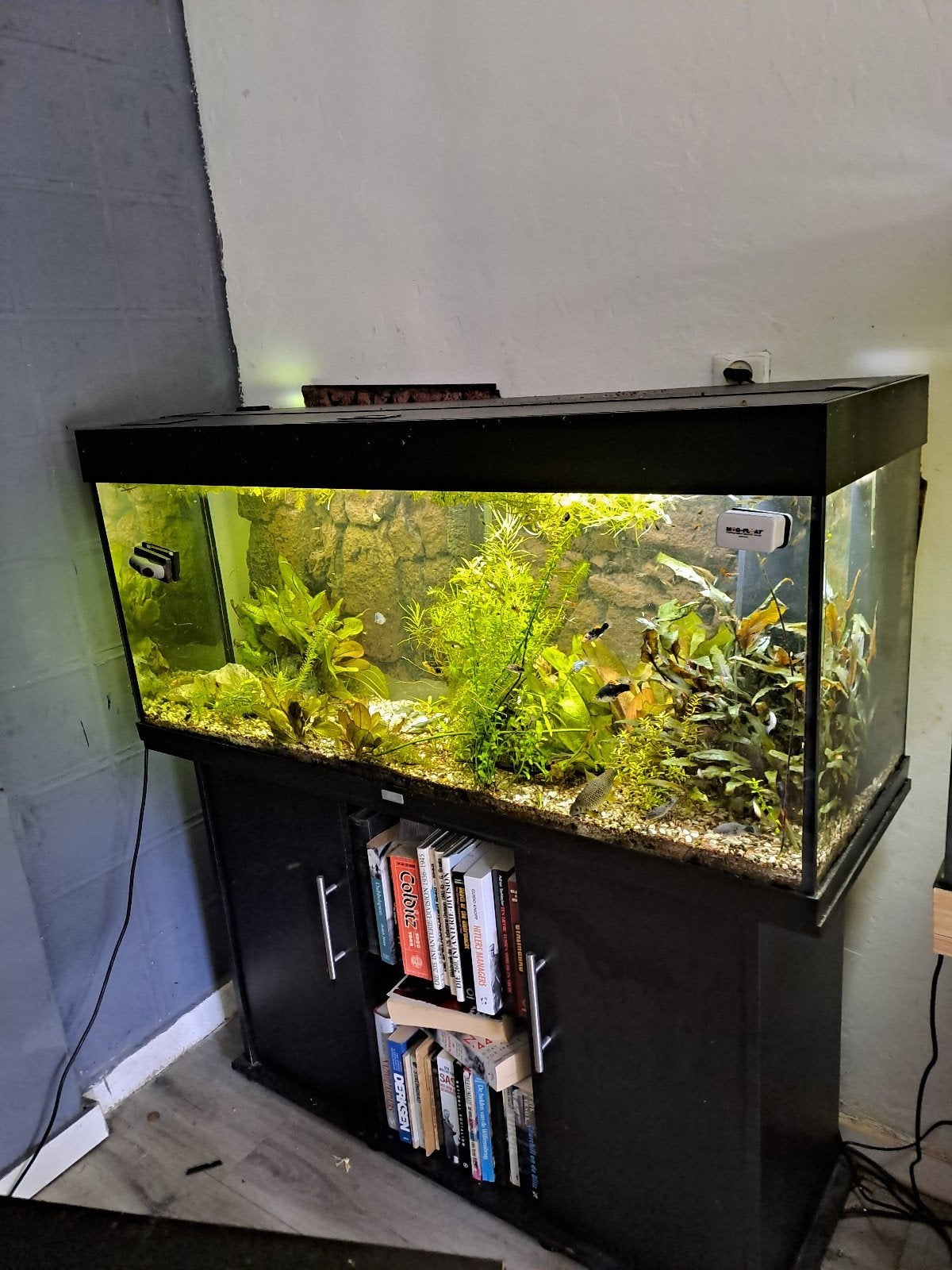 Mooie jewel 240 met day night verlichting, Ophalen, Gevuld zoetwateraquarium