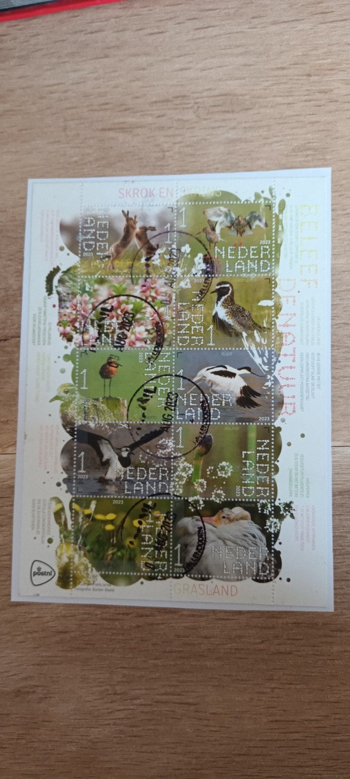 PRACHTIG VELLETJE BELEEF DE NATUUR GESTEMPELD OP PAPIER, Ophalen of Verzenden