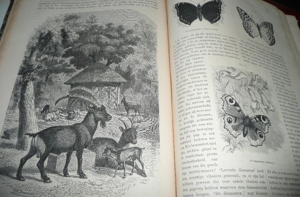 1868 Kennis en kunst - Dr. T.C. Winkler, Antiek en Kunst, Antiek | Boeken en Bijbels, Ophalen of Verzenden, 1868 Kennis en kunst - Dr. T.C. Winkler