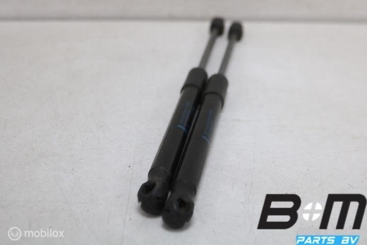 Set gasdrukveren achterklep Skoda Citigo 1ST827550C, Gebruikt