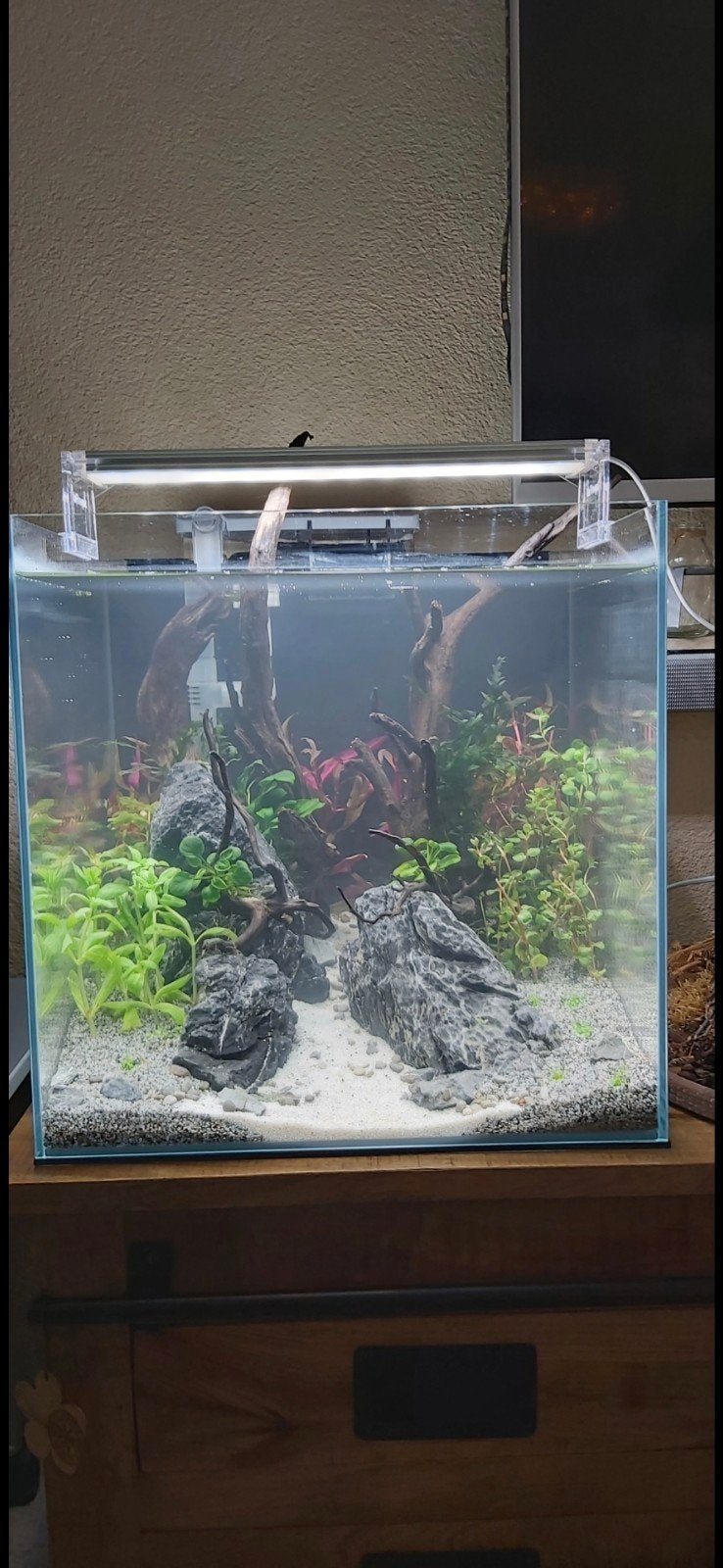 2x superfish scaper cube 60, Ophalen, Zo goed als nieuw, Leeg aquarium, Dennerle