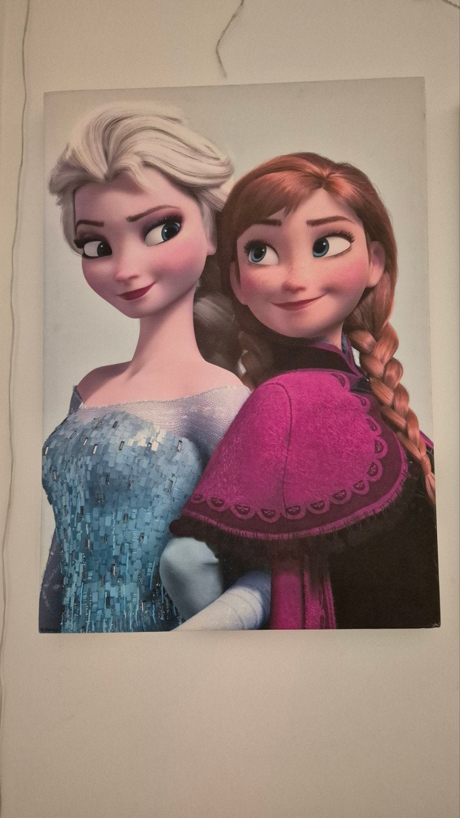 Frozen Elsa & Anna Canvas Schilderijen - 2 stuks, Ophalen of Verzenden, Zo goed als nieuw, Meisje