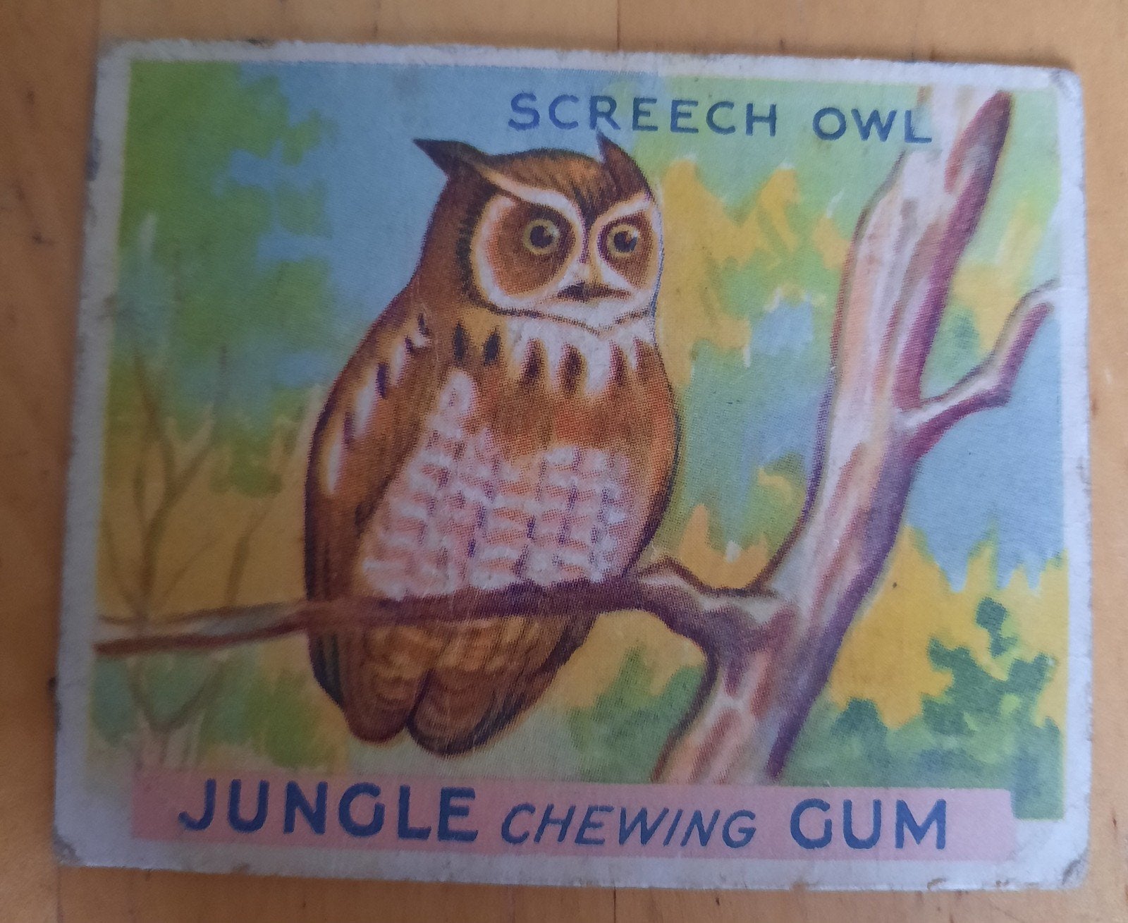 Een vintage Jungle Chewing Gum kaart - Screech Owl, Ophalen of Verzenden, Gebruikt