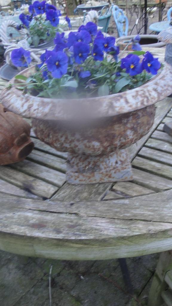 gietijzeren apart model pot, Tuin en Terras, Ophalen of Verzenden, Nieuw