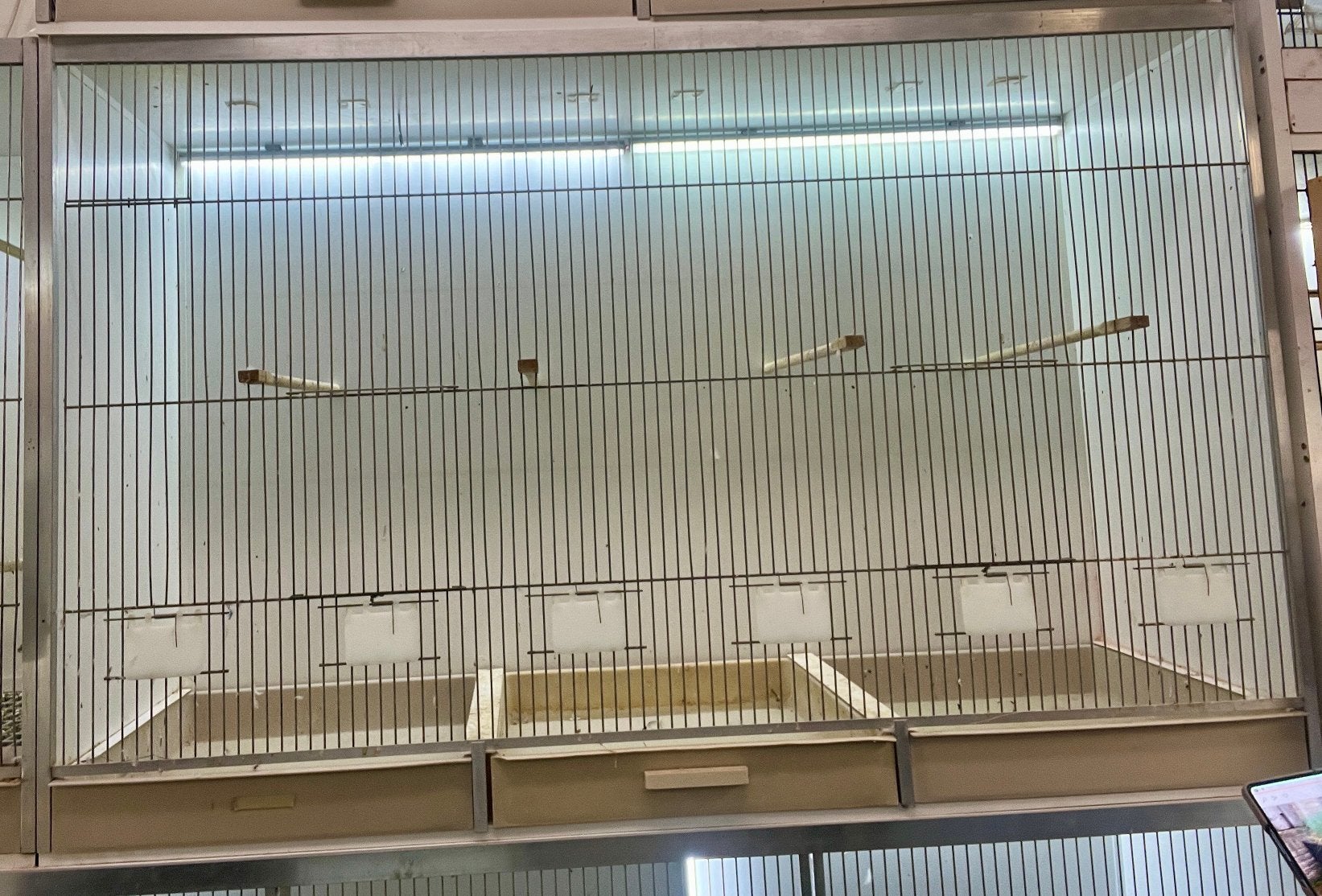 2 Gehu kooien van 124/80/40 zonder led €130 per.stuk., Dieren en Toebehoren, Ophalen of Verzenden, Aluminium, Broedkooi of Kweekkooi
