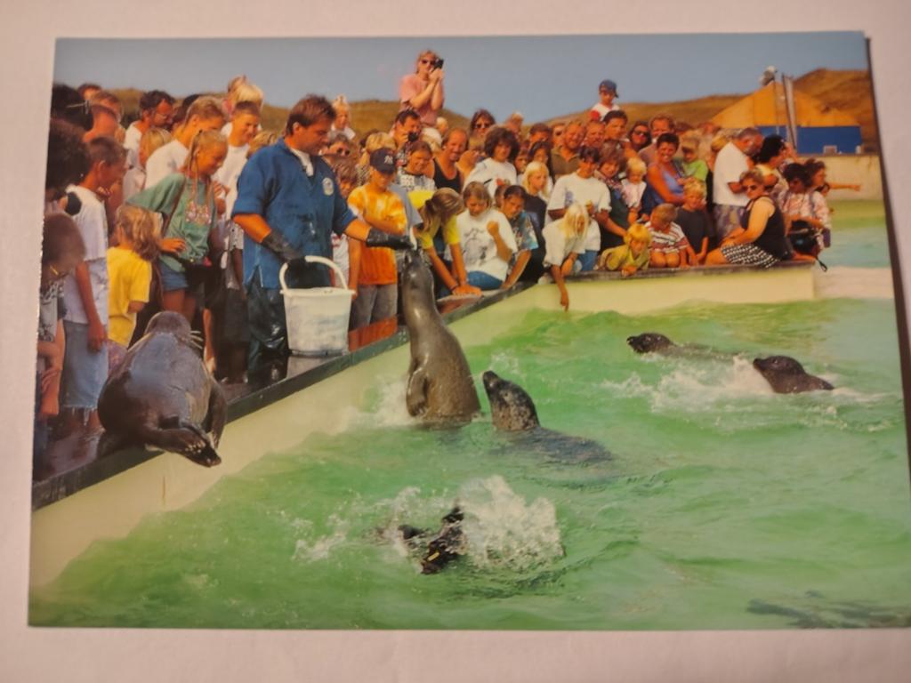Texel, Ophalen of Verzenden, 1940 tot 1960, Waddeneilanden