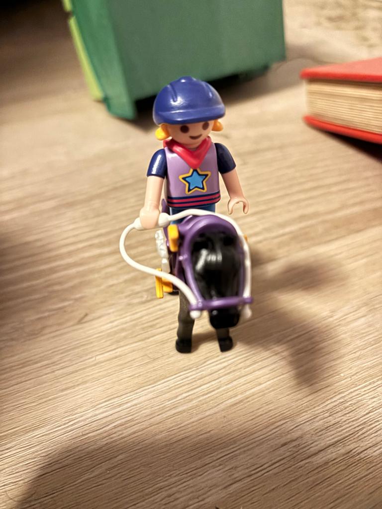 Playmobil Country 6970 Paard met ruiter en accessoires, Ophalen of Verzenden, Zo goed als nieuw, Complete set