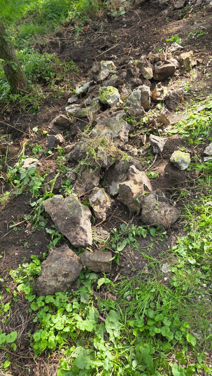 Partij stenen voor tuin of vijver, Ophalen, Gebruikt, Grijs, Kei