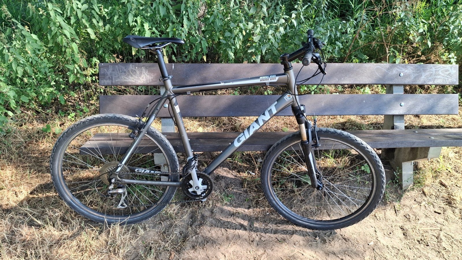 Gestolen: Giant Rincon, Fietsen en Brommers, Ophalen of Verzenden, Gebruikt, Meer dan 20 versnellingen, Giant