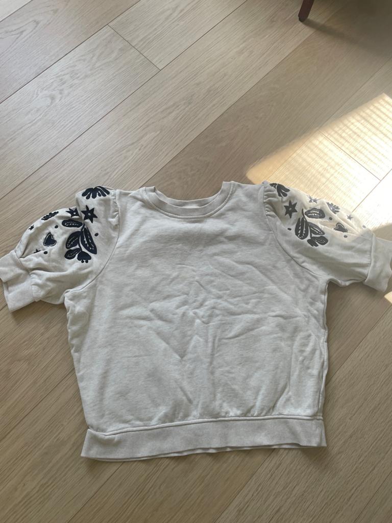 Fabienne Chapot sweater met korte mouwen, Ophalen of Verzenden, Gedragen, Maat 42/44 (L), Grijs
