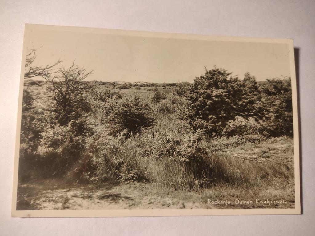 Rockanje Duinen Kwakjeswater, Ophalen of Verzenden