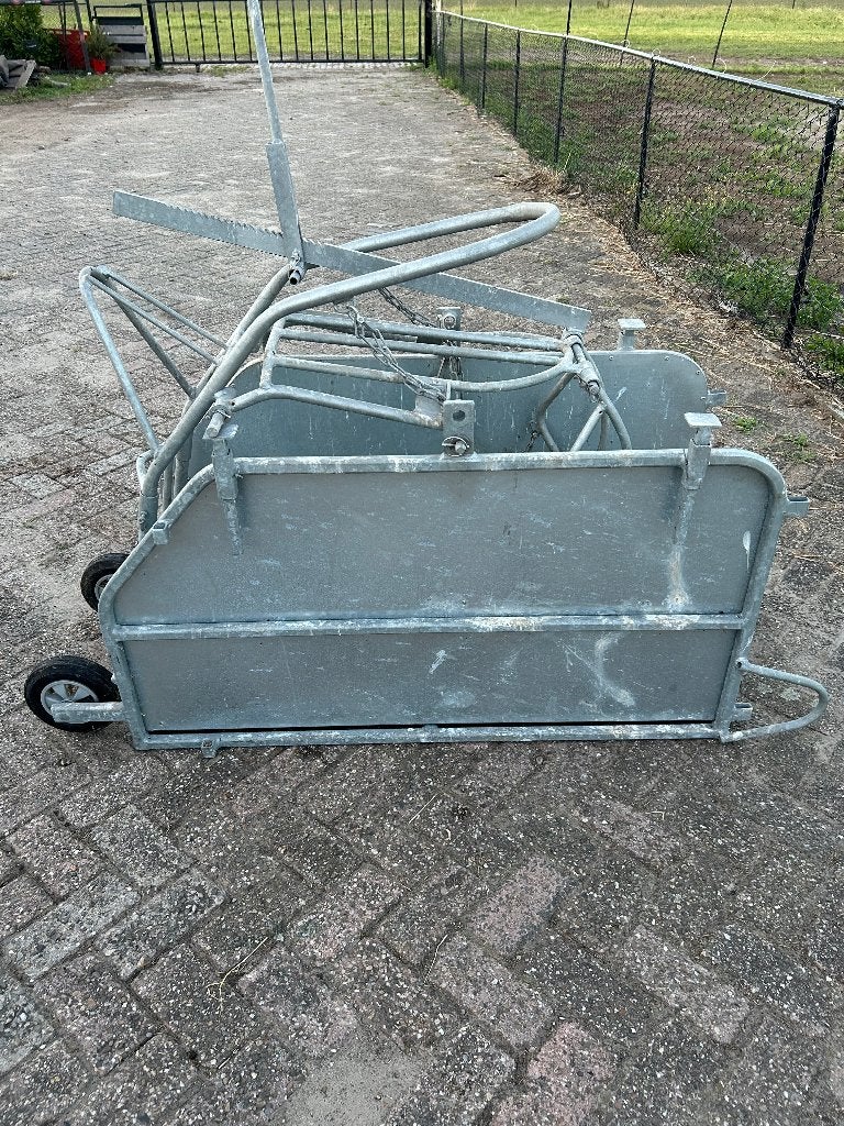 Schapenkantelaar z.g.a.n., Geslacht onbekend, Schaap