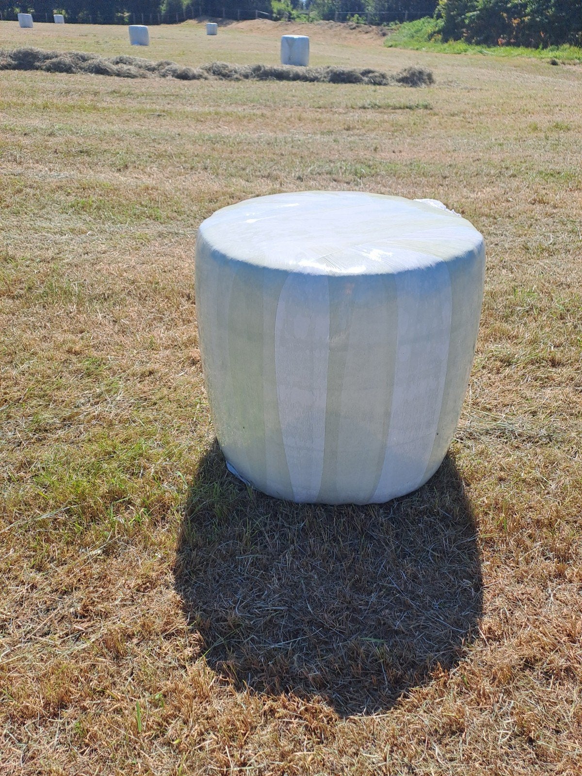30 Midi balen te koop, Dieren en Toebehoren, Ophalen, Vee