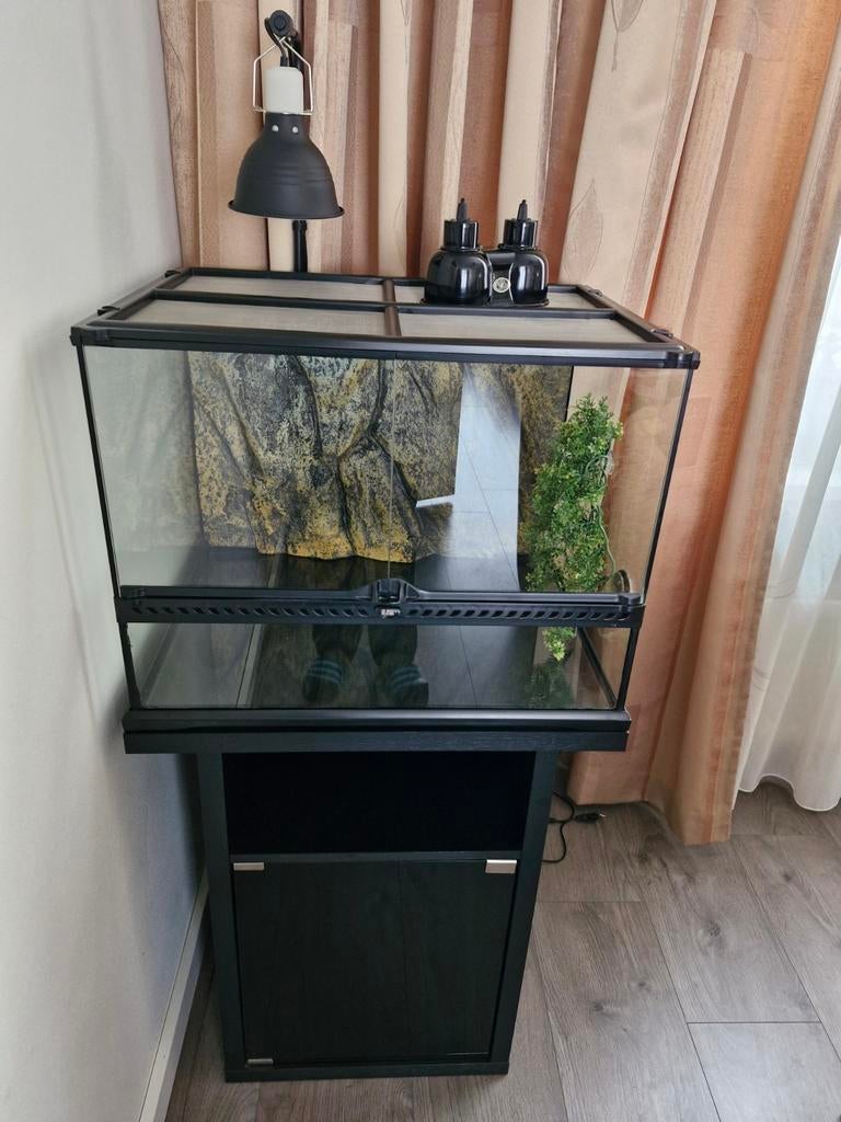 Terrarium 60x45x45 met onderkast en accessoires, Dieren en Toebehoren, Ophalen, Zo goed als nieuw, Terrarium of Paludarium