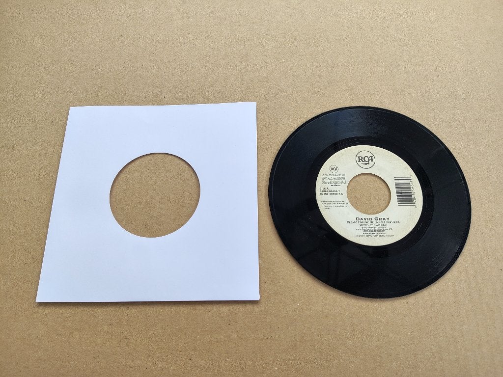 Single: David Gray - Please Forgive Me (2001) USA, Cd's en Dvd's, Verzenden, Gebruikt, 7 inch, Pop