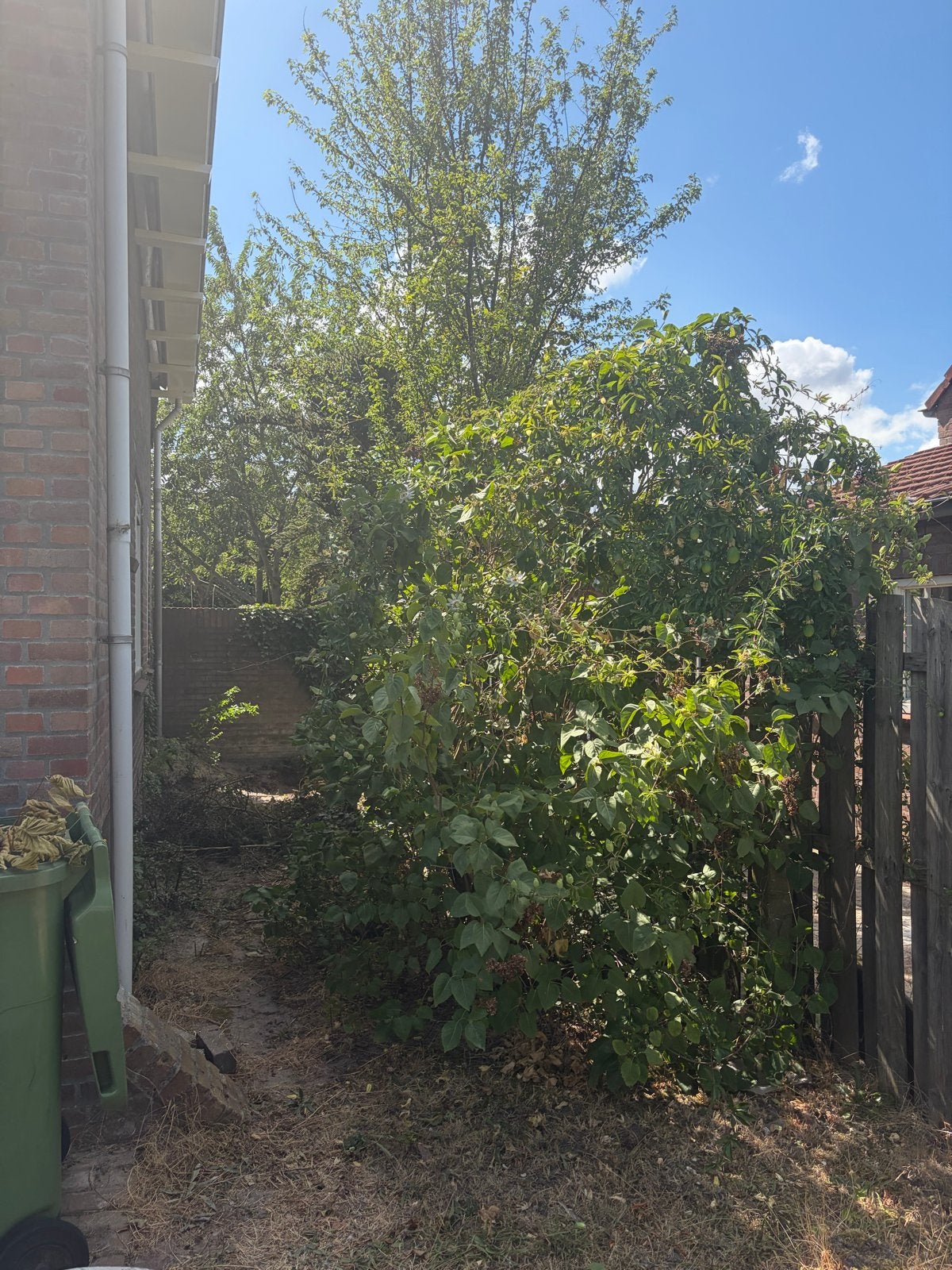 Tuinman / klusjes man gezocht, Ophalen, Nieuw