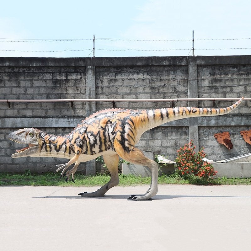 Female Australovenator - Dinobeeld - 417 cm, Ophalen, Nieuw, Overige typen