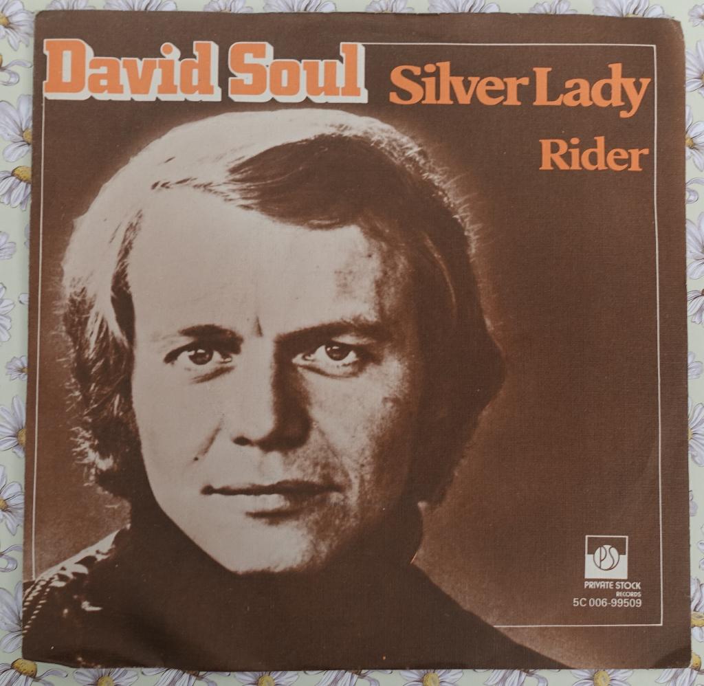 david soul - silver lady, Fotohoes, Ophalen of Verzenden, Zo goed als nieuw, Pop
