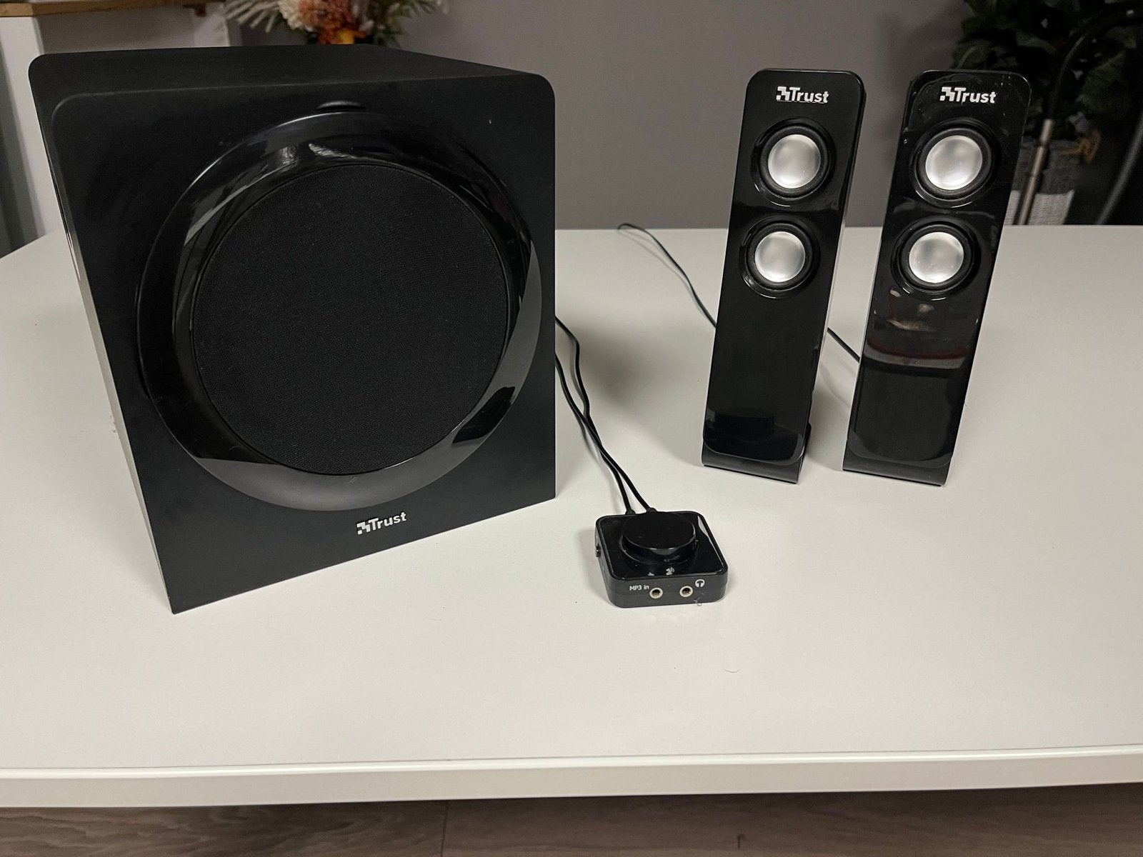 Trust 2.1 luidsprekerset met subwoofer en bedrade afstandsbe, Audio, Tv en Foto, Luidsprekers, Gebruikt, Speakerset, Minder dan 60 watt