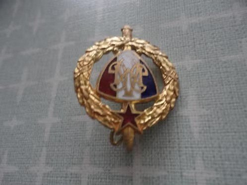 Franse insigne/speld emaille, AGMG et etoile des blesses, Verzenden, Overige materialen, Buitenland