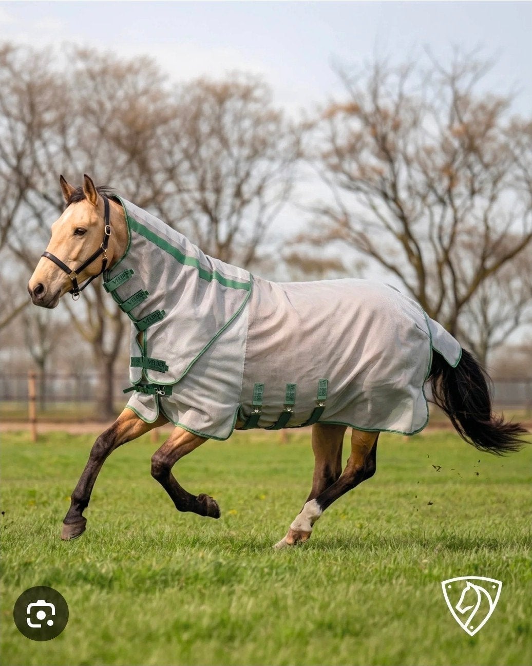 Velder Horsewear vliegendeken 185, Dieren en Toebehoren, Paarden en Pony's | Dekens en Dekjes, Ophalen of Verzenden