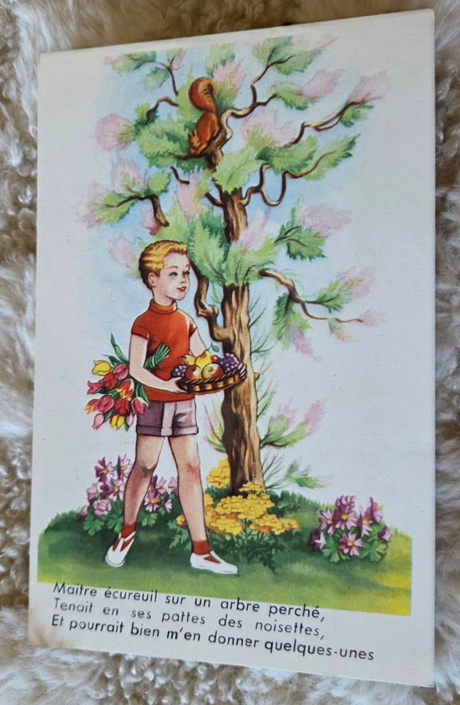 Jongen met fruit en bloemen onder boom met eekhoorn, Verzamelen, Ansichtkaarten | Themakaarten, Verzenden, 1940 tot 1960, Ongelopen
