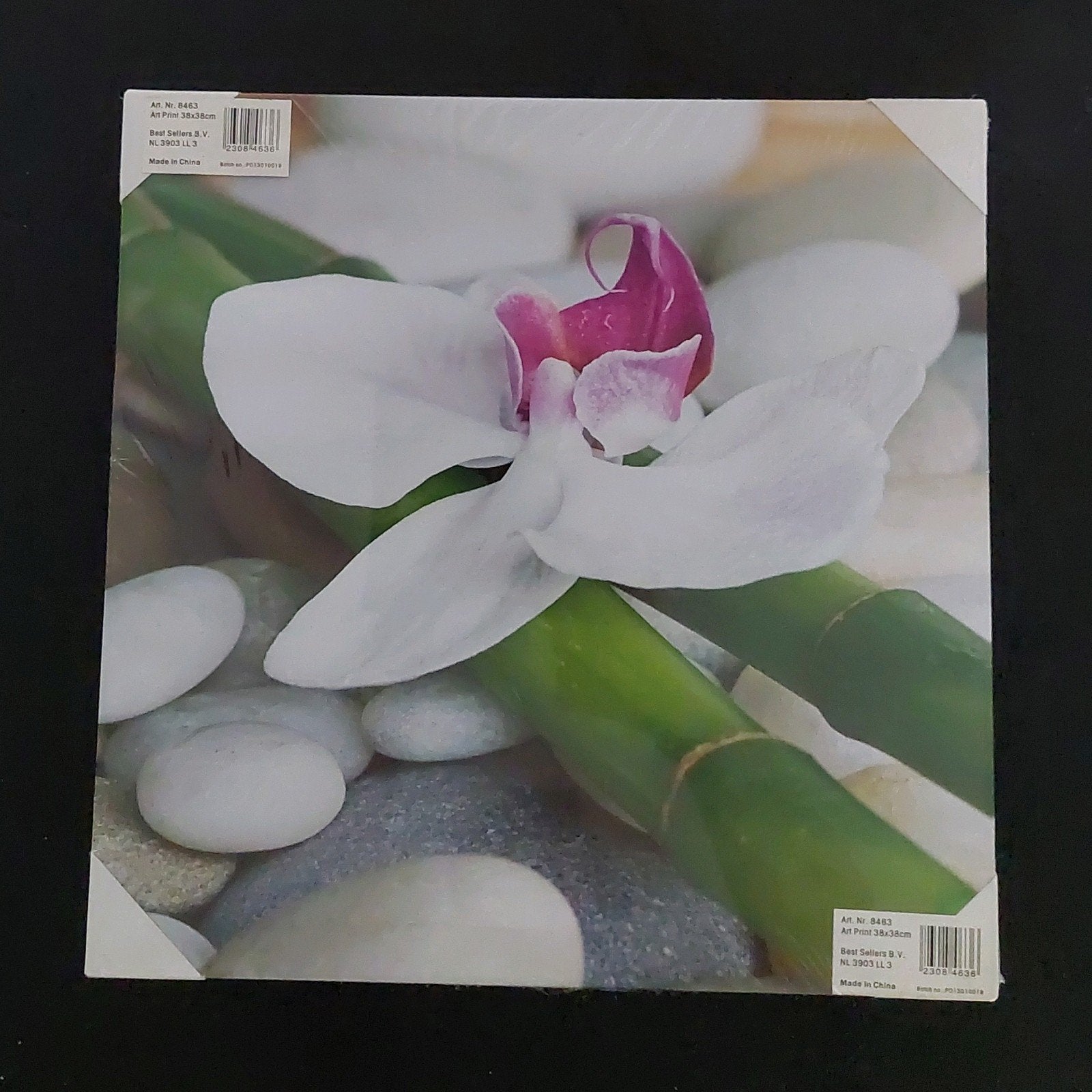Schilderij orchidee en bamboe - 38x38cm, Ophalen of Verzenden