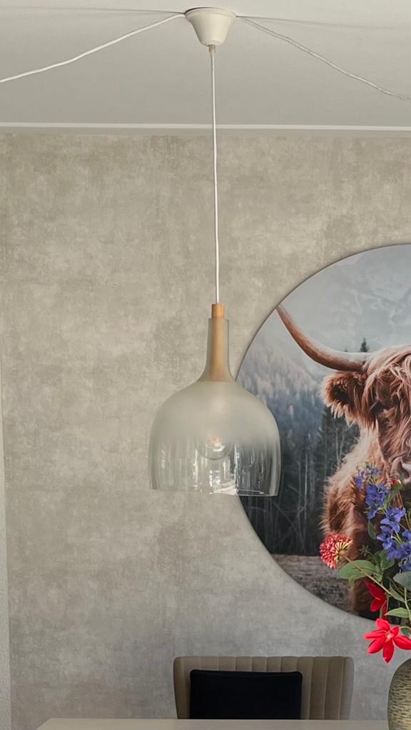 2 VT wonen hanglampen - mat/helder glas met  houten detail, Ophalen, Gebruikt, Glas, Minder dan 50 cm