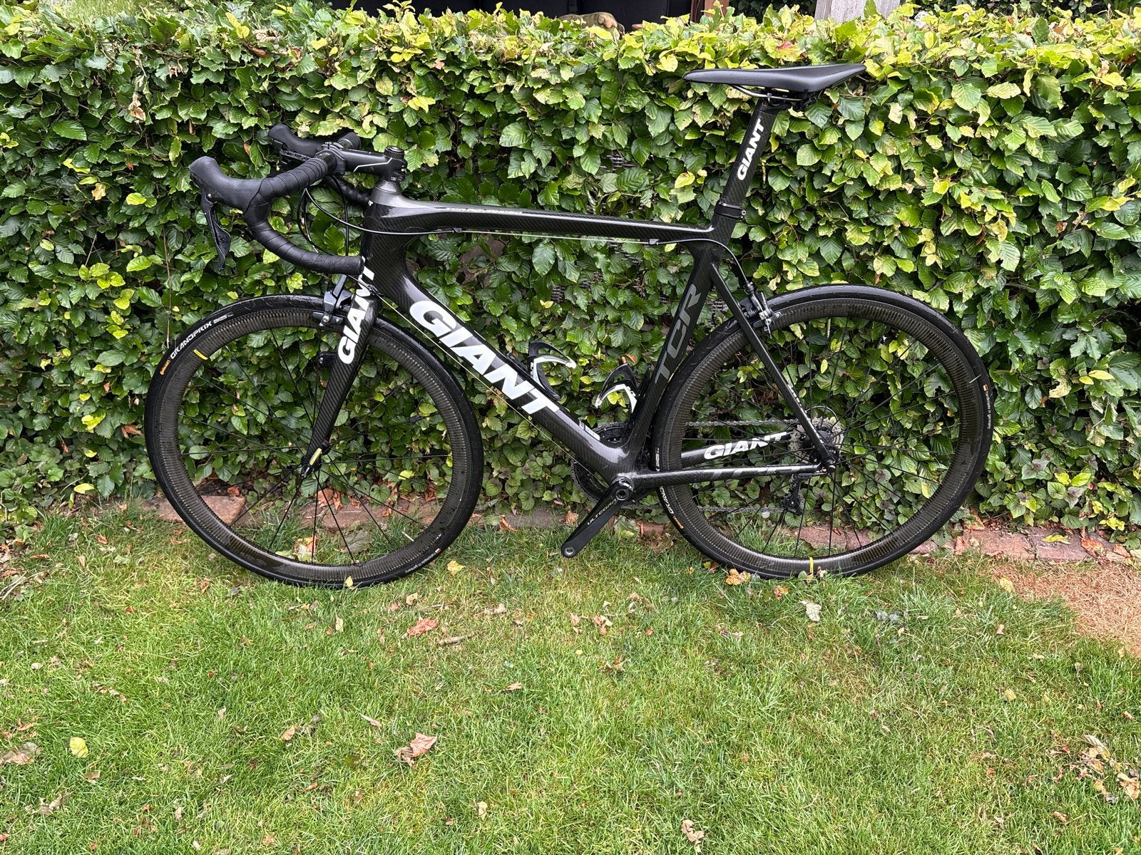 Giant TCR Advanced racefiets met carbon wielen, Ophalen, 28 inch, Gebruikt, Carbon