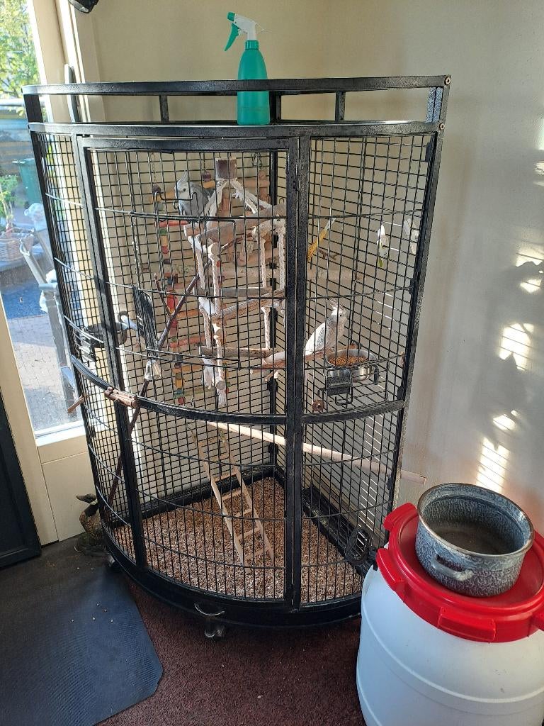 valkparkieten of papagaaien hoekkooi op wielen Strong, Dieren en Toebehoren, Vogels | Parkieten en Papegaaien, Meerdere dieren