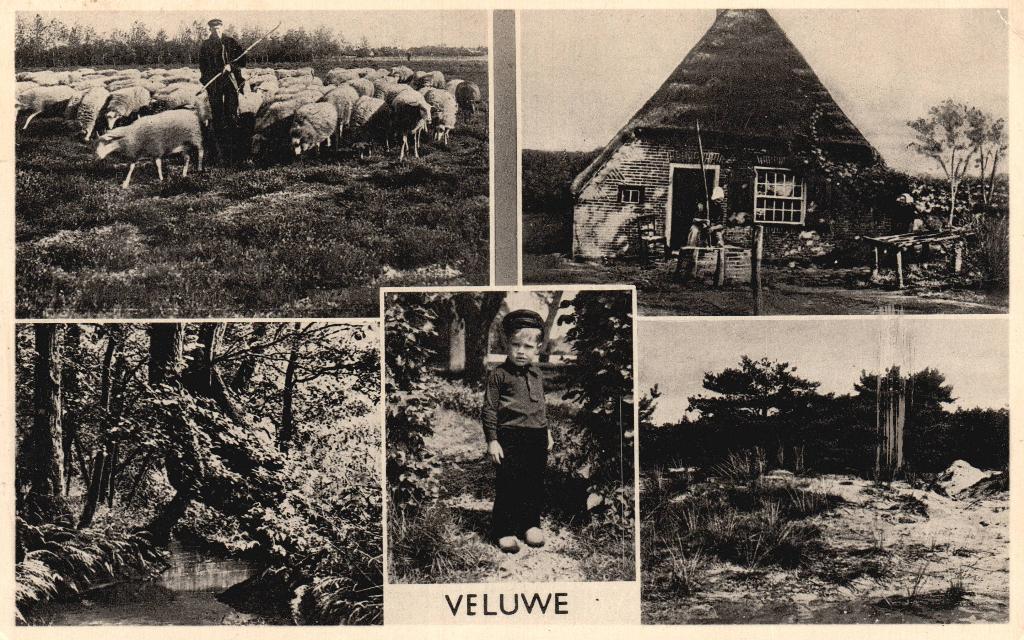 Veluwe (1959) 131289, Ophalen of Verzenden, 1940 tot 1960, Gelopen, Gelderland