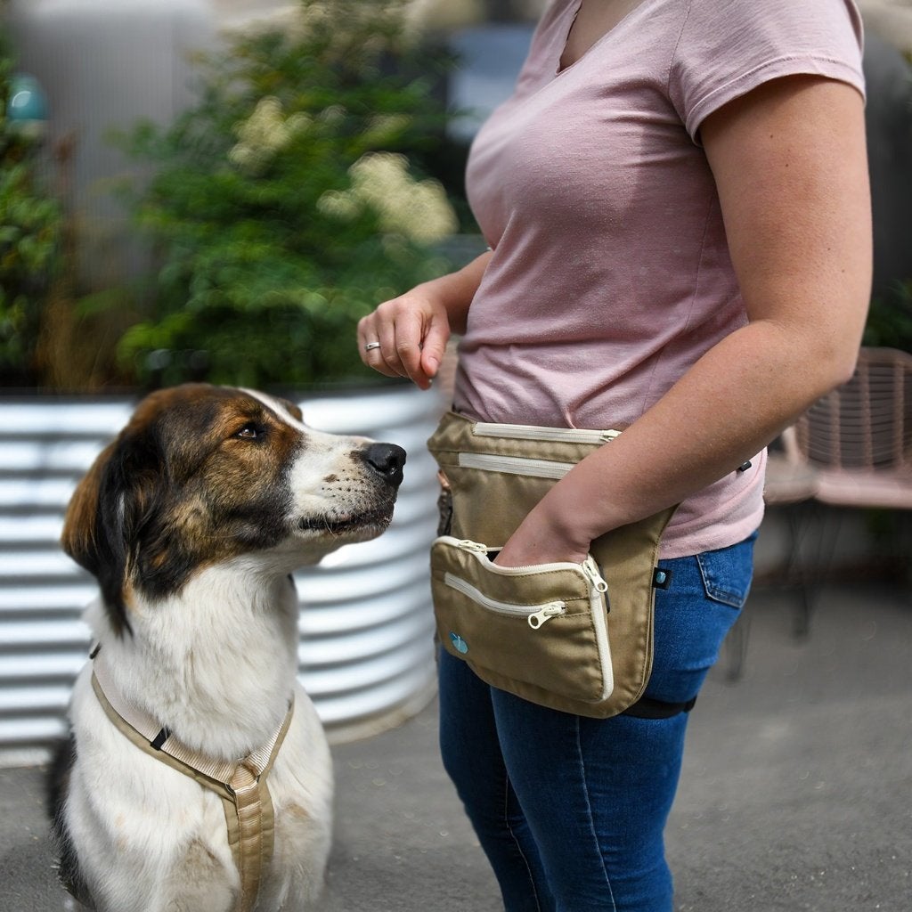annyx SIDEBAG hondentas-heup-schoudertas -wandelen-training, Dieren en Toebehoren, Overige typen, Overige merken, Nieuw, Annyx