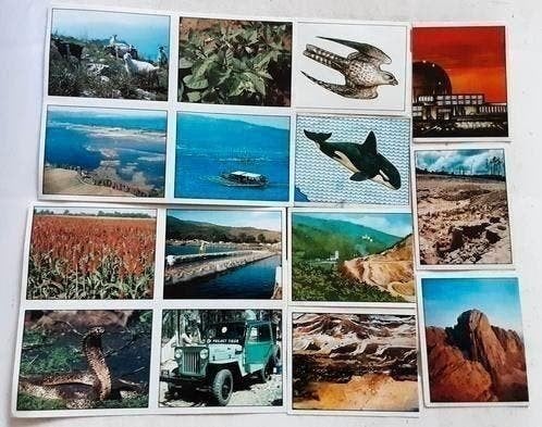 15 stickers Panini WWF, Ophalen of Verzenden