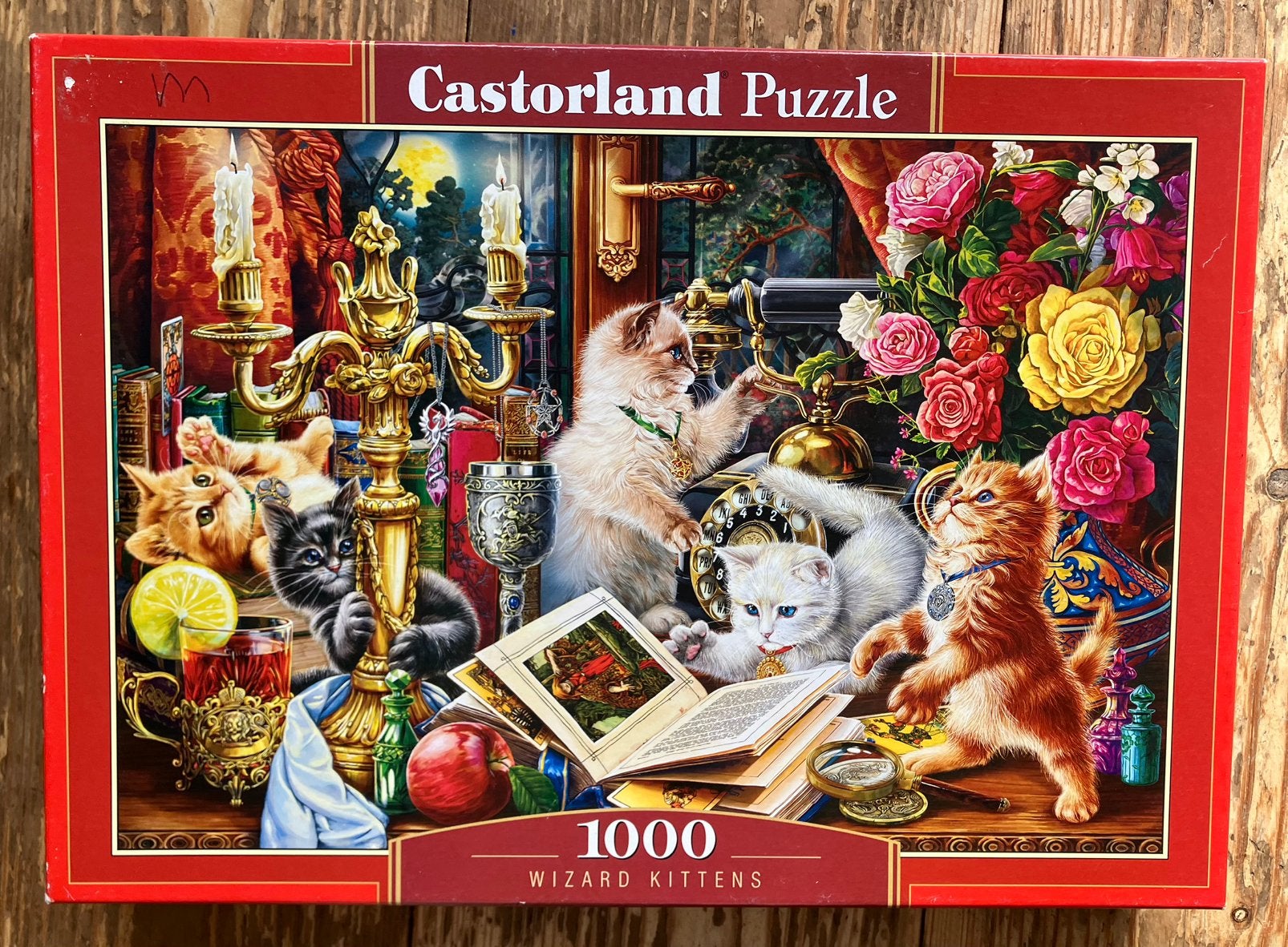 CASTORLAND legpuzzel, Ophalen of Verzenden, 500 t/m 1500 stukjes