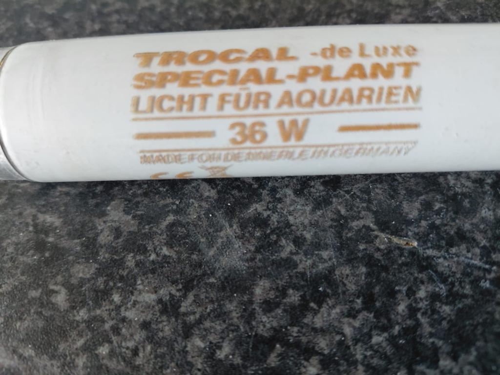 Gratis af te halen,  TL lamp voor aquarium, Ophalen, Minder dan 10 m²
