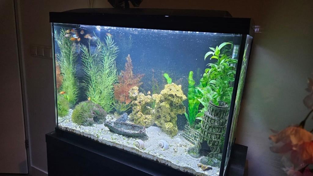 Superfish 100 liter aquarium inclusief vissen, filter & deco, Ophalen, Gebruikt, Inclusief vissen, Gevuld zoetwateraquarium