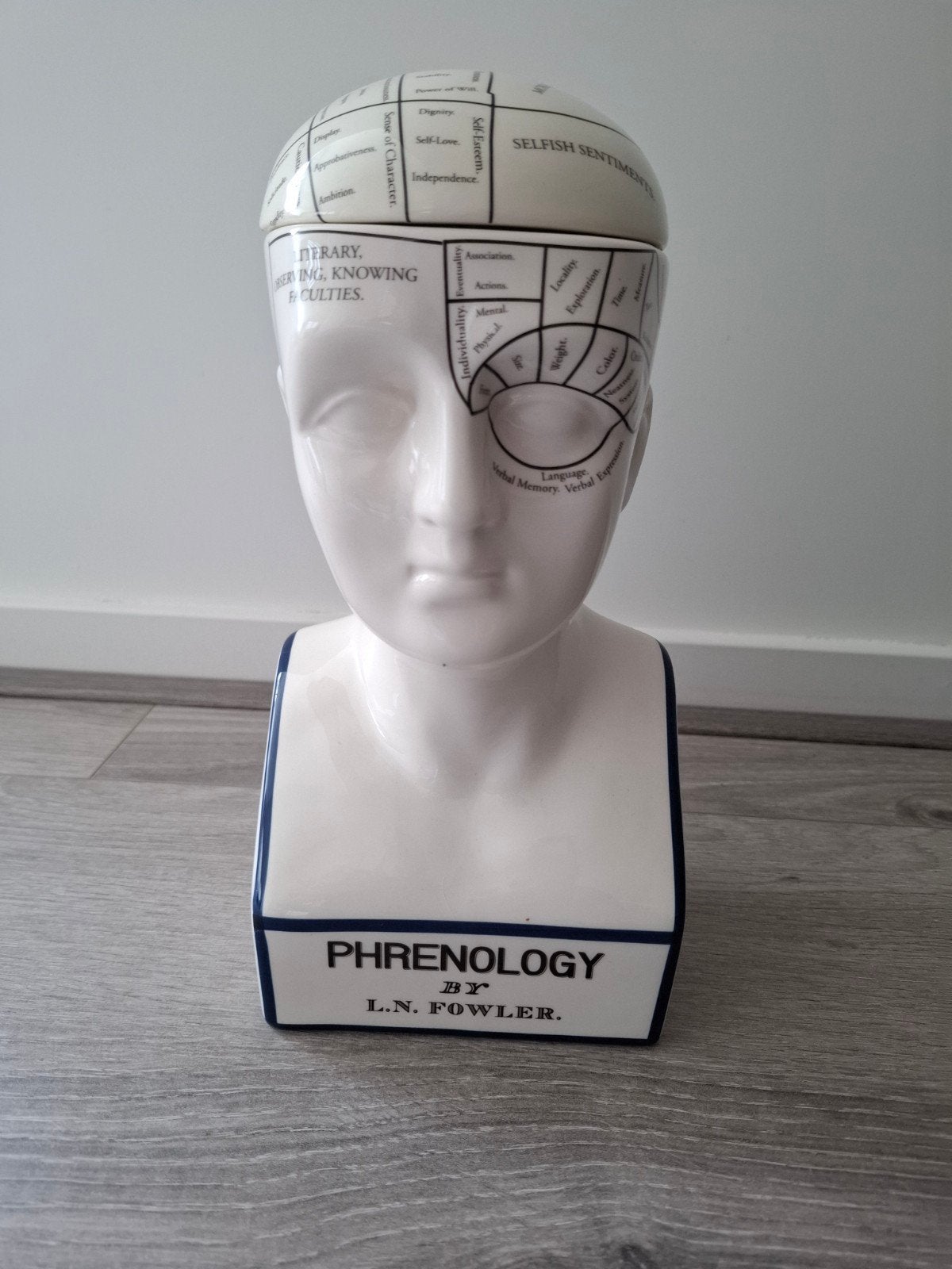 Buste phrenology, Ophalen of Verzenden, Zo goed als nieuw