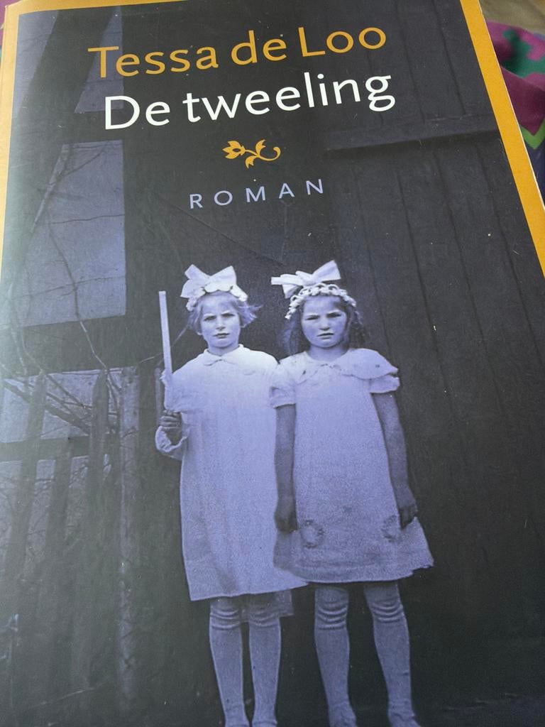 Tessa de Loo - De tweeling (Roman), Ophalen of Verzenden, Gelezen, Nederland