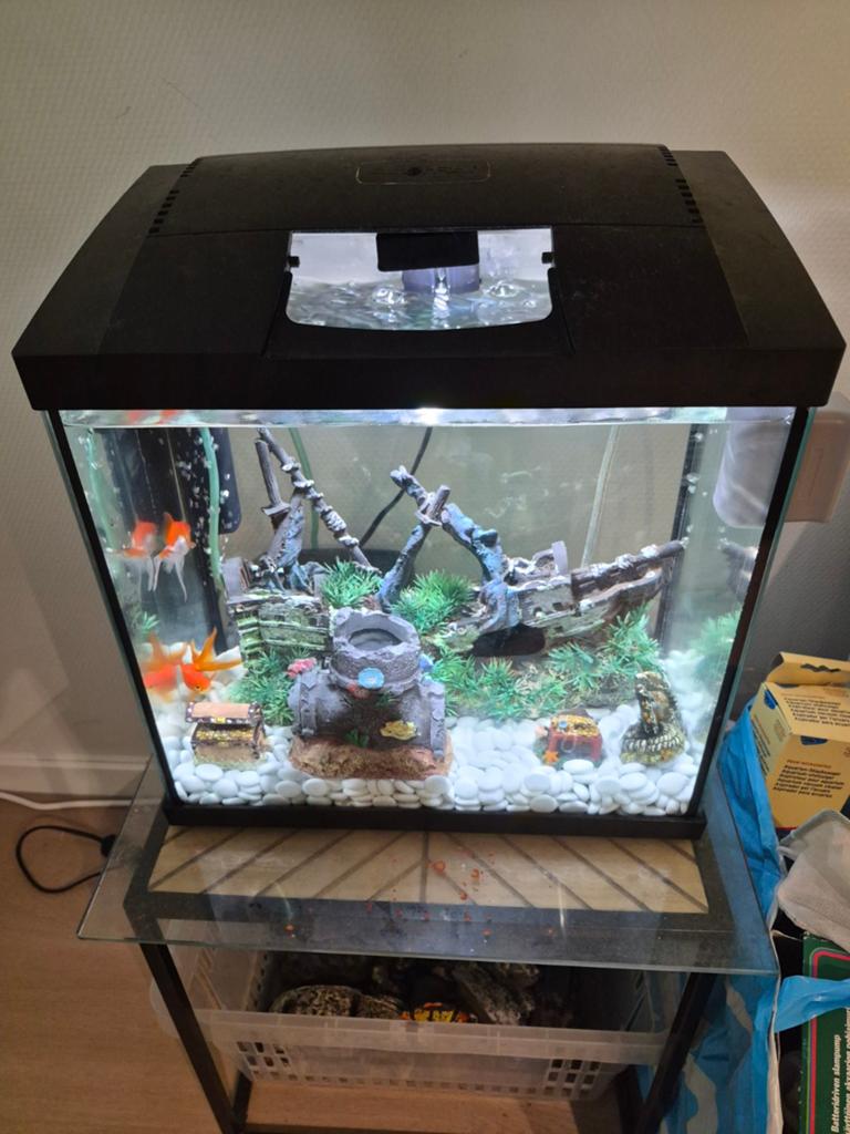 aquarium 70 liter+ twee goudvissen+toebehoren zie afbeelding, Ophalen, Zo goed als nieuw, Vissenkom