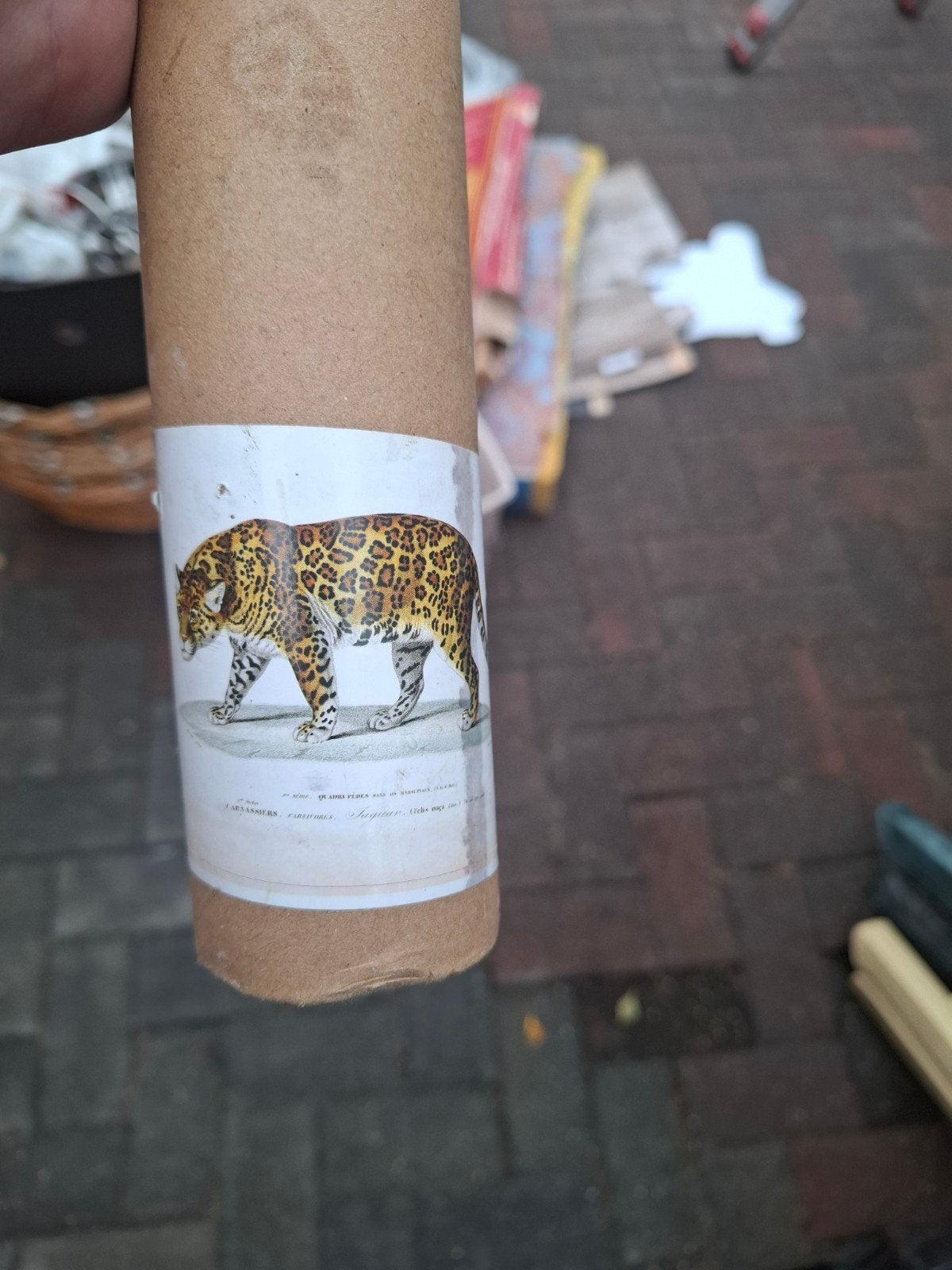 Vintage Jaguar Print Wandkleed - Decoratieve Kunst, Ophalen of Verzenden