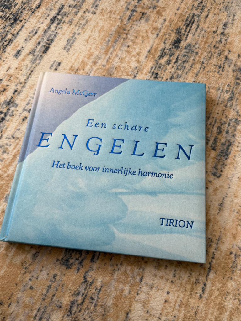 Angela McGerr – Een Schare Engelen + 48 Kaarten, Ophalen of Verzenden, Zo goed als nieuw, Overige onderwerpen