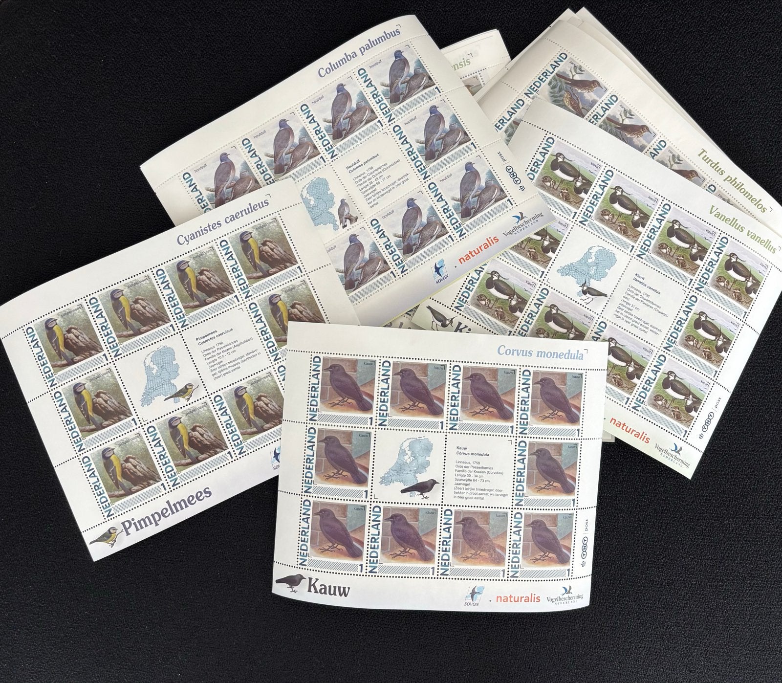 Nederlandse postzegels 1 vogels - Postfris, Ophalen, Na 1940, Postfris